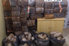 Cerca de 700 quilos de maconha são apreendidos pela PM no Oeste do estado