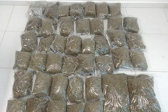 Trabalho de inteligência da PM evita chegada de maconha no Litoral; dois homens são presos