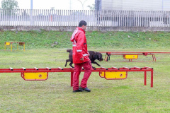  Bombeiros promovem certificação estadual de cães de busca e resgate