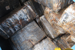 Operações com Cães do BPFron apreende mais de 2,5 toneladas de maconha em Santa Helena (PR)