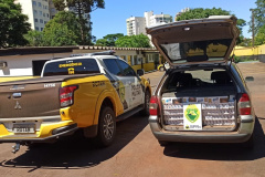 Policiais da ROTAM apreendem veículo carregado com 6 mil maços de cigarro na região oeste do Estado