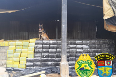 BPFron faz a maior apreensão de drogas da história da unidade em Toledo ao localizar depósito com 12,7 toneladas de maconha