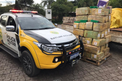 Caminhão com 985 quilos de maconha que seguia para Colombo (PR) é interceptado pelo BPRv na Rodovia da Uva