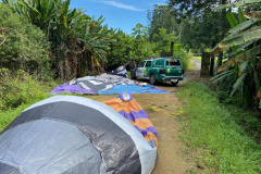 Polícia Ambiental apreende balão de sete metros que caiu em meio à mata, nas margens da BR 277