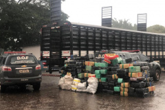 PCPR e PMMS apreendem 4,8 toneladas de maconha na região de fronteira do MS 