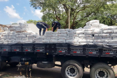 PCPR apreende mais de 3 toneladas de maconha em Maringá