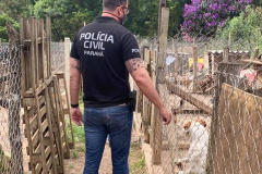 PCPR prende suspeita de maus-tratos em Quatro Barras