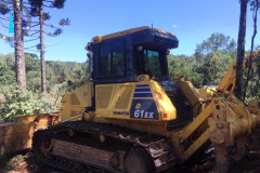 Trio é autuado em quase R$ 100 mil por destruição de vegetação nativa em Guarapuava (PR)