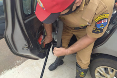 Mais de 60 quilos de maconha que iriam para Minas Gerais são apreendidos pela PM em Perobal, no Noroeste do Paraná