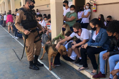 Equipe de Operações com Cães participa de atividade em colégio em Santo Antônio da Platina (PR)