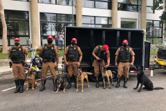 BPRv recebe cinco cães de faro e um veículo próprio para o transporte