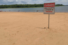 Bombeiros reforçam alertas sobre ataques de piranhas nas praias da Costa Oeste