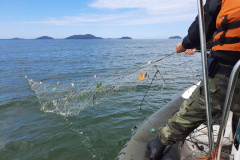 Batalhão Ambiental aplicou R$ 60,2 milhões em multas e atendeu 14 mil ocorrências em 2021