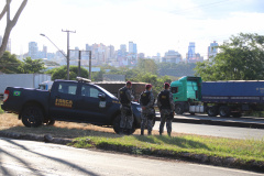 Integração das forças policiais estadual e federal reduz crimes no Oeste do Paraná