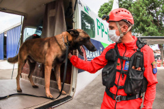 Governo do Paraná envia 10 bombeiros e quatro cães para buscas a desaparecidos em Petrópolis