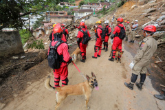 Bombeiros do Paraná concluem participação nas buscas por vítimas em Petrópolis, no Rio