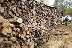 Batalhão de Polícia Ambiental aumenta parcerias e multas crescem R$ 19 milhões em 2 anos