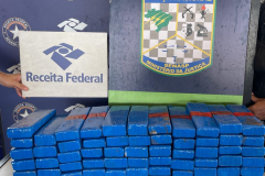 Força Nacional apreende adolescente com 48 quilos de maconha na Ponte Internacional da Amizade