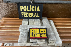 Adolescente é flagrado com 11 tabletes de maconha durante ação da Força Nacional e da Polícia Federal no Oeste do estado