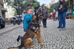 PCPR e GM realizam evento de conscientização sobre drogas no Centro de Curitiba