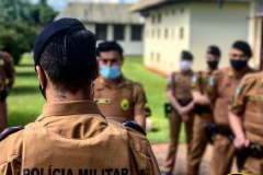 EM MÉDIA, A CADA 3 HORAS 1 PESSOA É PRESA NA ÁREA DO 5º COMANDO REGIONAL