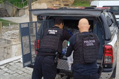 PCPR incinera mais de 3,5 toneladas de drogas em Curitiba