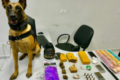 Após denúncia via 181, policiais apreendem 1,9kg de drogas em Paranaguá