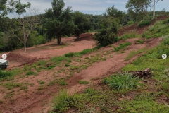 Denúncia via 181 leva à prisão dois suspeitos por crime ambiental em Umuarama  