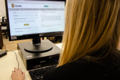 PCPR orienta como registrar boletim de ocorrência online por extravio ou perda de documentos