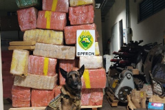 PMPR apreende mais de uma tonelada de droga em Marechal Cândido Rondon