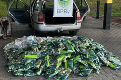 Batalhão de Polícia Rodoviária apreende 400 kg de agrotóxicos ilícitos em Maringá