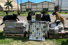 Cão farejador auxilia na apreensão de 1,4 tonelada de maconha