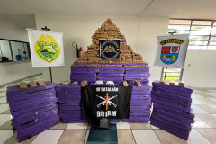 Após denúncia pelo 181, Polícia Militar apreende 912 quilos de drogas em Apucarana