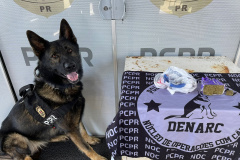 PCPR prende homem por tráfico de drogas em Pontal do Paraná