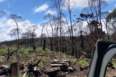 Megaoperação contra desmatamento resulta em prisões em General Carneiro