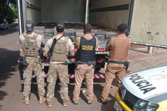 Polícia Militar apreende mais de três toneladas de drogas em Diamante d’Oeste