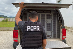 PCPR prende dois suspeitos por furtar cabos de energia em Cambará