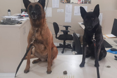 Três pessoas são presas durante operação conjunta em Telêmaco Borba