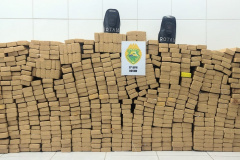 PMPR apreende mais de 570 quilos de drogas na Região Metropolitana de Curitiba