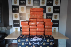 PCPR apreende 434 quilos de maconha e prende mulher por tráfico de drogas, em Toledo