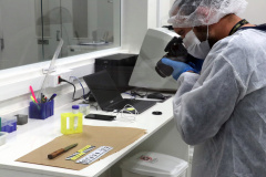 SEDEF nos municípios leva capacitação técnica a Marechal Cândido Rondon