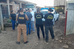 Operação conjunta combate comércio de madeira ilegal no Sul do Paraná