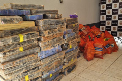 PCPR incinera 4,5 toneladas de drogas em Maringá