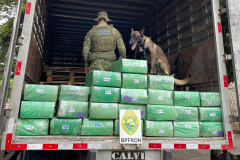 Polícia Militar prende homem com 700 quilos de maconha em Douradina