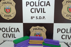 PCPR apreende 550 quilos de maconha e recupera veículo em Santa Cruz do Monte Castelo