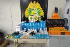 Polícia Militar apreende mais de dois mil produtos com maconha em Curitiba