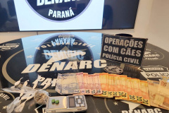PCPR deflagra operação contra organização envolvida no tráfico de drogas e armas em Londrina