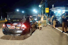 Operação Fronteiras e Divisas Integradas II apreende 5 toneladas de drogas e 86 armas