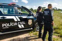 PCPR apreende 33 cabeças de gado em situação de maus-tratos e apropriados indebitamente em Reserva