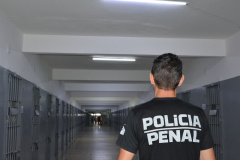 Governo do Paraná libera nova carteira de identidade funcional a policiais penais